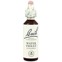Water Violet nº 34 · Bach · 20 ml