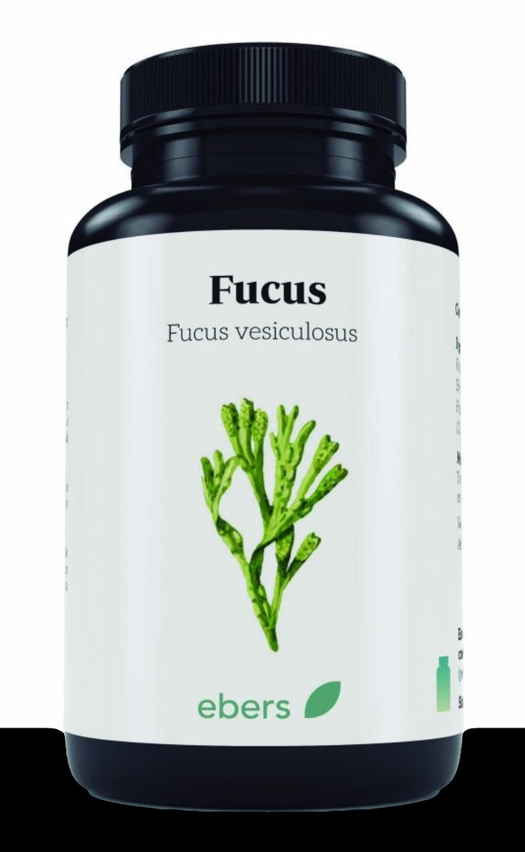 Fucus · Ebers · 100 comprimidos