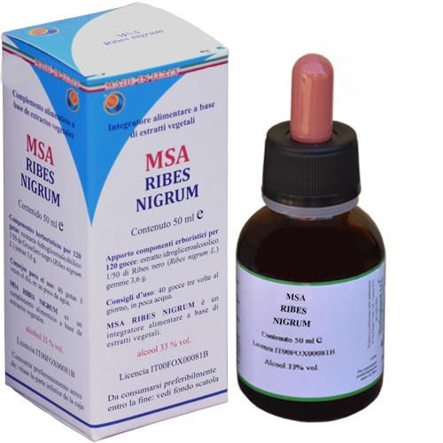 MSA Ribes Nigrum · Herboplanet · 50 ml