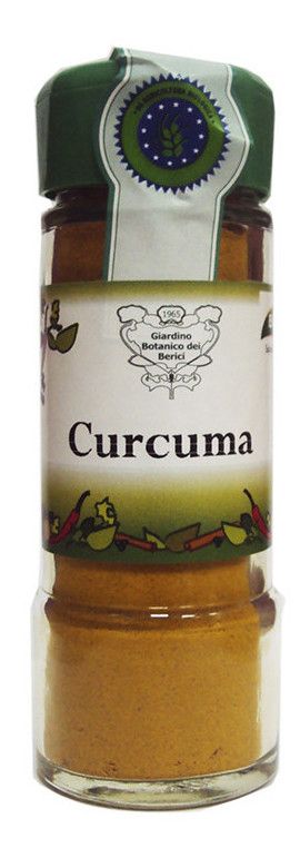 Cúrcuma en Polvo · Biocop · 36 gramos