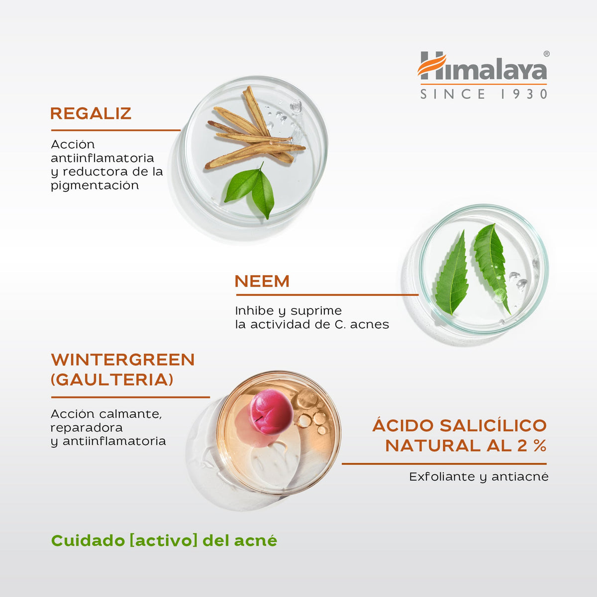 Acne Clear+ Treatment Pen · Himalaya · 15 ml
