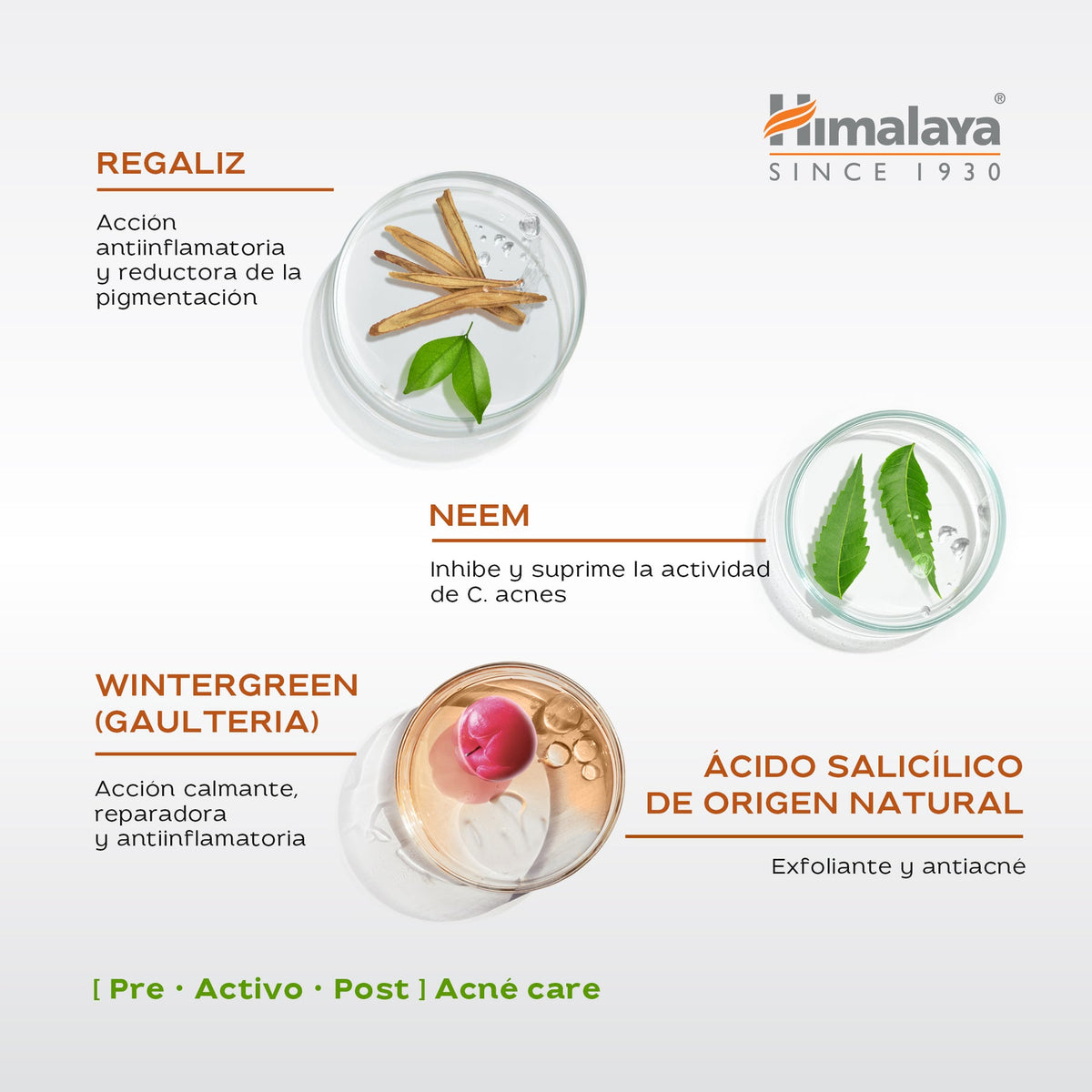 Gel Limpiador Facial Acne Clear+ · Himalaya · 200 ml