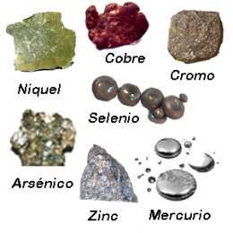 Intoxicación por metales pesados: aluminio, mercurio, plomo