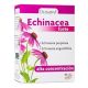 Echinacea Forte · Drasanvi · 45 cápsulas