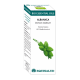 Bio Essential Oil Albahaca · Equisalud · 10 ml