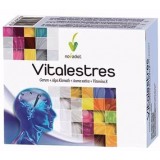 Vitalestres · Nova Diet · 60 cápsulas
