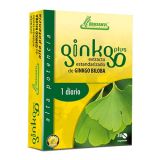 Ginkgo Plus · Drasanvi · 30 comprimidos