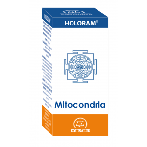 https://www.herbolariosaludnatural.com/15520-thickbox/holoram-mitocondria-equisalud-60-capsulas.jpg