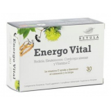 Energo Vital · Betula · 30 cápsulas