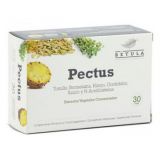 Pectus · Betula  · 30 cápsulas