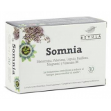 Somnia · Betula · 30 cápsulas
