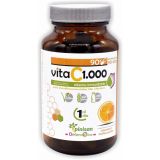 Vita C 1000 · Pinisan · 90 cápsulas