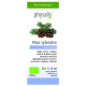 Aceite Esencial de Pino Silvestre · Physalis · 10 ml