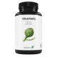 Alcachofa 500 mg · Ebers · 60 comprimidos