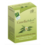 Camellia Select · 100% Natural · 60 cápsulas