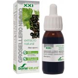 Extracto de Grosellero Negro · Soria Natural · 50 ml