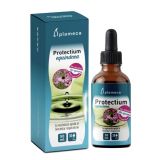 Protectium Equinacea · Plameca · 50 ml
