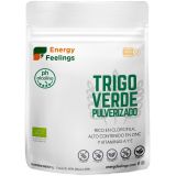 Trigo Verde Pulverizado · Energy Feelings · 200 gramos