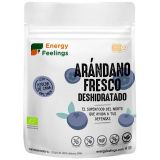Arándano Fresco Deshidratado · Energy Feelings · 150 gramos