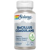 Bacillus Coagulans · Solaray · 60 cápsulas