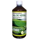 Zumo de Aloe Vera Fresco · Enzime Sabinco · 1 litro