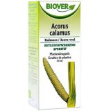 Acorus calamus (Cálamo) · Biover · 50 ml