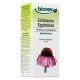 Echinacea purpurea (Equinácea) · Biover · 50 ml