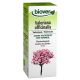 Valeriana officinalis · Biover · 50 ml