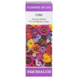 Flowers of Life - Crisis · Equisalud · 15 ml 