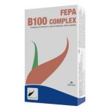 Fepa-B100 Complex  · Fepadiet · 40 cápsulas