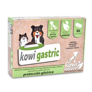 https://www.herbolariosaludnatural.com/25753-thickbox/kowi-gastric-kowi-nature-60-comprimidos.jpg