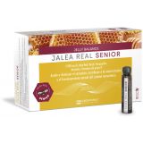 Jalea Real Senior · FDB Laboratorios · 20 viales