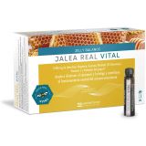 Jalea Real Vital · FDB Laboratorios · 20 viales