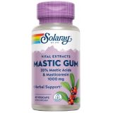 Mastic Gum · Solaray · 45 cápsulas