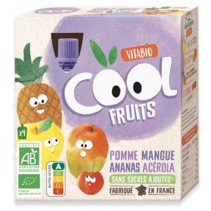 https://www.herbolariosaludnatural.com/26131-thickbox/pack-smoothies-de-manzana-mango-pina-y-acerola-vitabio-4x90-gramos.jpg