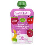 Smoothie de Yogur y Frambuesa · Smileat · 100 gramos
