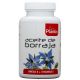 Aceite de Borraja · Plantis · 120 cápsulas