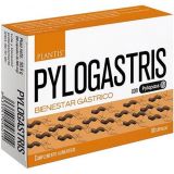 Pylogastris · Plantis · 90 cápsulas