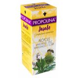 Propolina Jarabe · Artesanía Agrícola · 200 ml