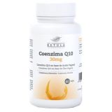 Coenzima Q10 30 mg · Betula · 60 cápsulas