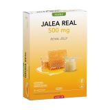 Bipole Jalea Real 500 mg · Dietéticos Intersa · 20 ampollas