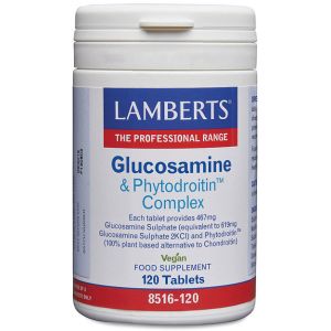 https://www.herbolariosaludnatural.com/29482-thickbox/glucosamina-y-phytodroitin-complex-lamberts-120-comprimidos.jpg