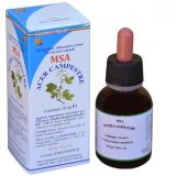 MSA Acer Campestre · Herboplanet · 50 ml