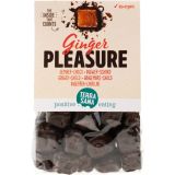Ginger Pleasure · Terrasana · 150 gramos