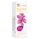 Enervital Epilobium · Mundo Natural · 50 ml