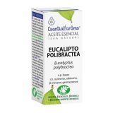 Aceite Esencial de Eucalipto Polibractea · Esential'Aroms · 5 ml