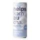 Kombucha Blueberry Charm · Helps Kombucha · 250 ml