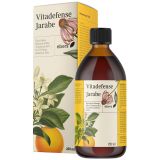 Vitadefense Jarabe · Ebers · 250 ml