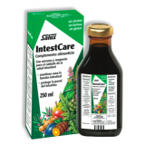 IntestCare Jarabe · Salus · 250 ml