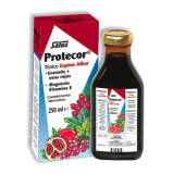 Protecor Jarabe · Salus · 250 ml